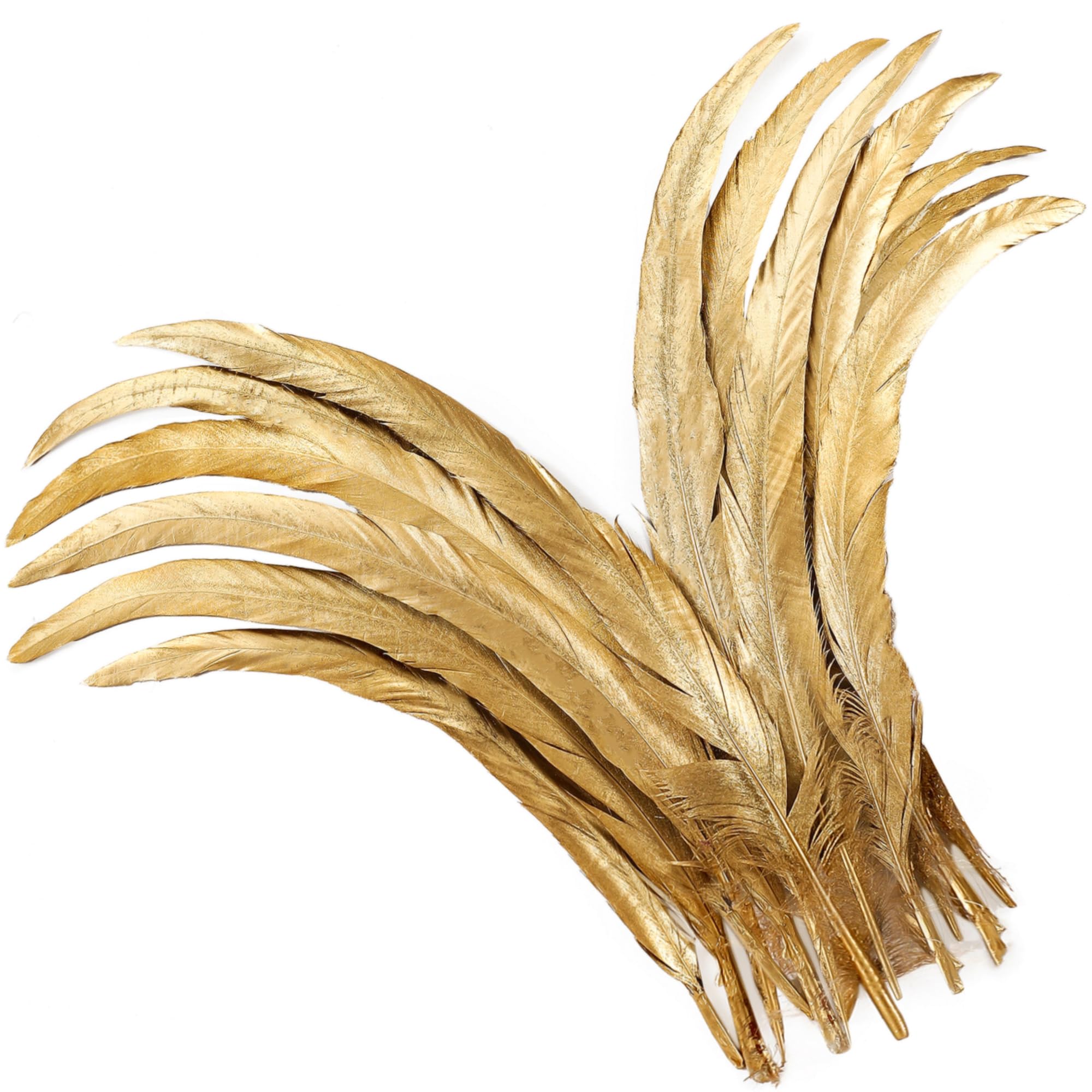 Holmgren Gold Rooster Tail Feathers - 60pcs 12-14inch Long Metallic Rooster Tail Feathers Bulk for DIY Crafts Costume and Halloween Party Performances Decoration (Gold)