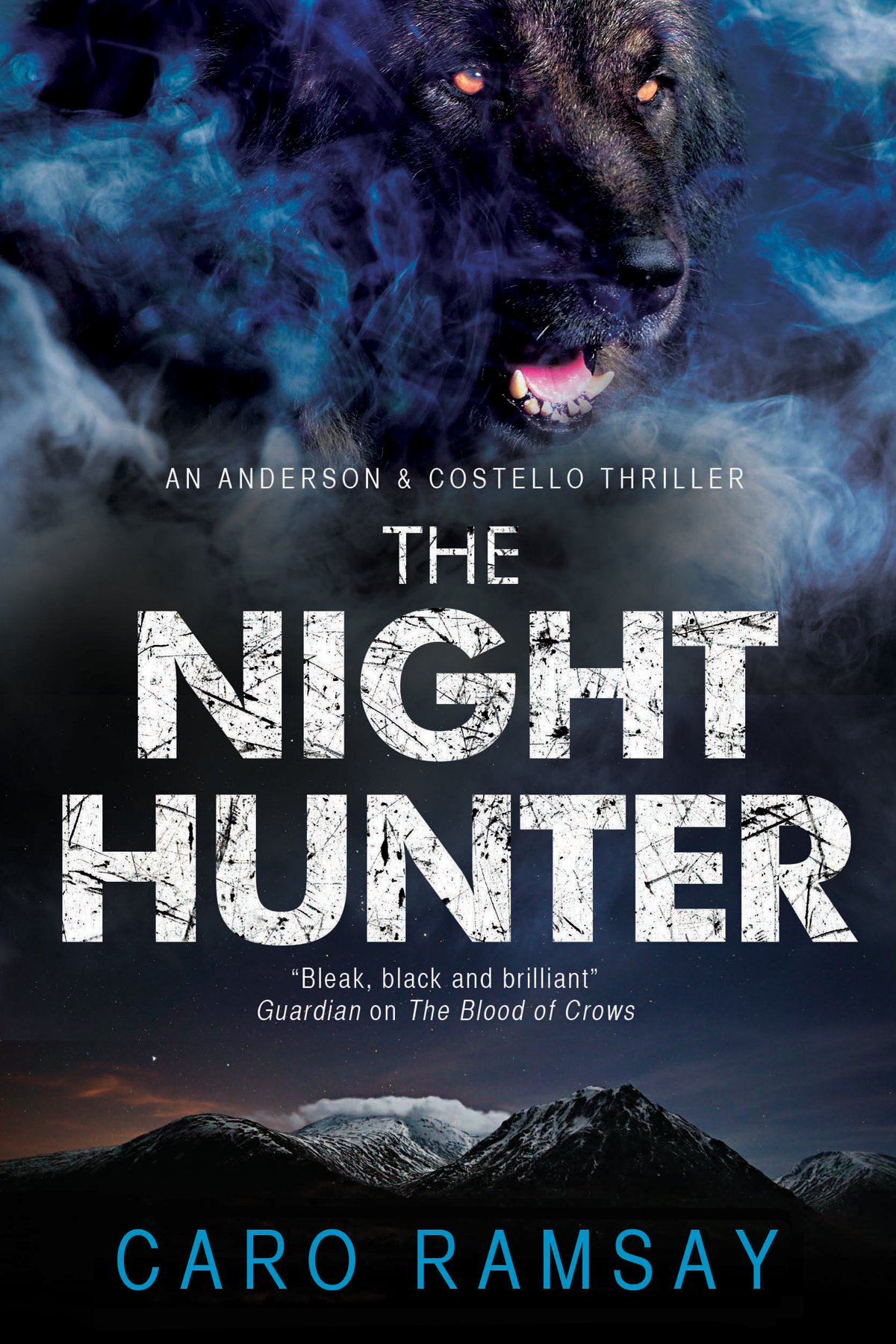 The Night Hunter: An Anderson & Costello police procedural set  .9781847515254