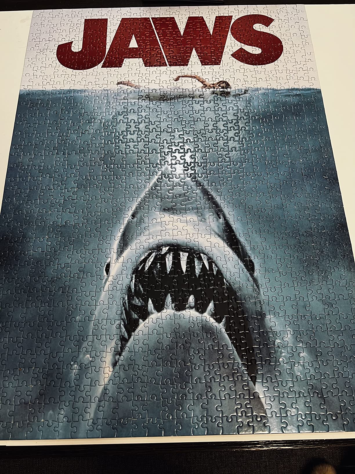 Amazon.com: JAWS Movie Poster 1000 Pc Puzzle : Toys & Games