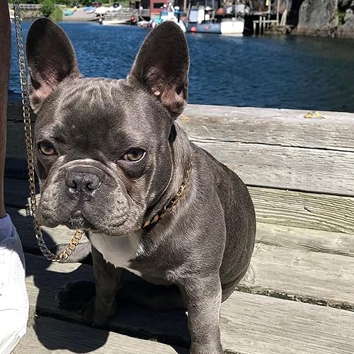 Miniatura 2 de Correa de perro de cadena de oro de acero inoxidable fuerte, con mango de cuero, correa de cadena de eslabones NK chapada en oro de 18 quilates de