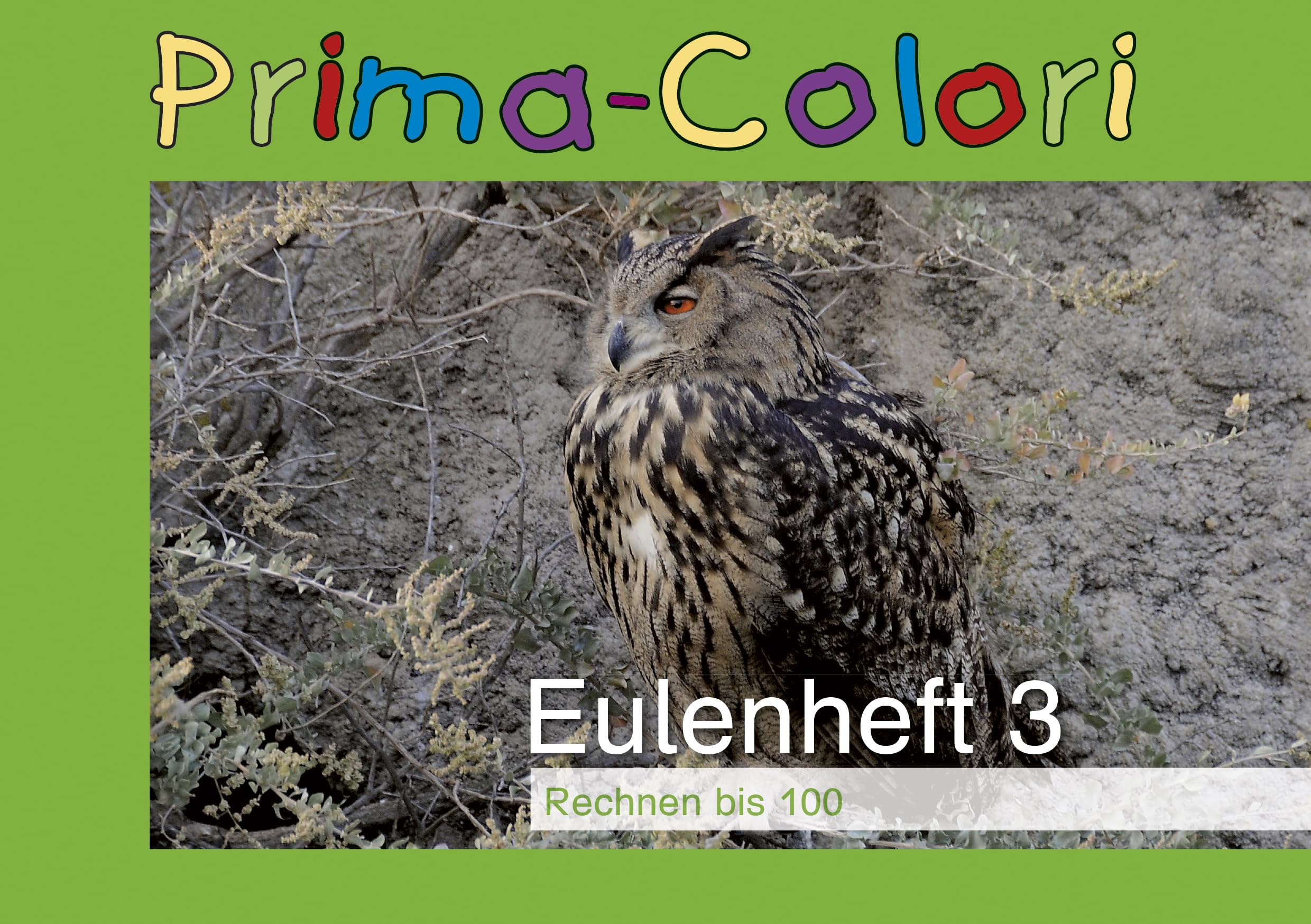 TimeTEX Owl Book 3