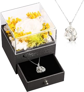 Preserved Red Real Rose with I Love You Necklace-Eternal Flowers Rose Birthday Gifts for Mom Grandma Wife, I Love You Gifts for Her, Anniversary or Romantic Gift for Women April