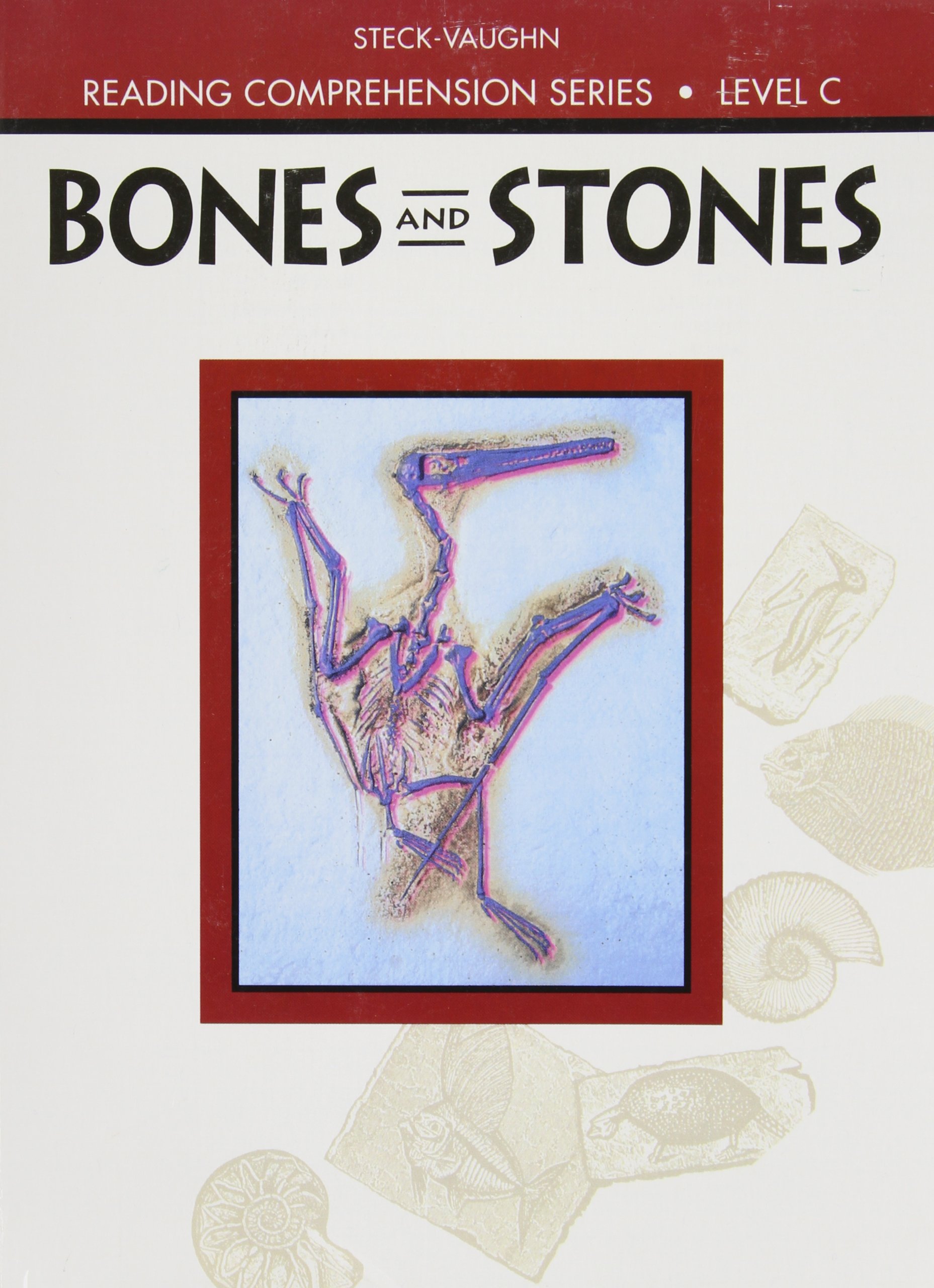 Reading Comprehension, Level C: Bones and Stones