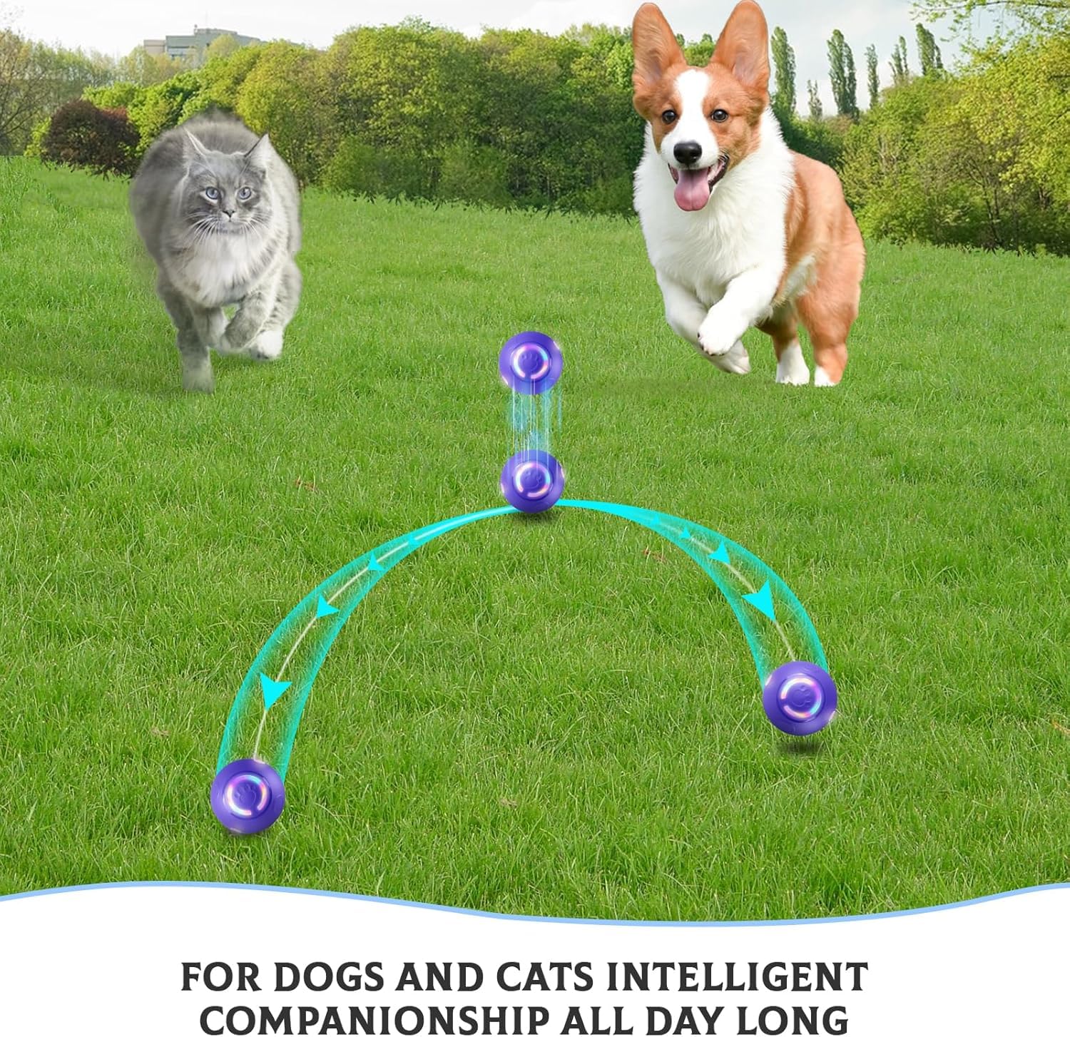 Interactive Dog Ball Toy - Auto Active Rolling Ball for Dogs with LED Lights | 2 Interactive Modes, Automatic Moving, Bouncing, and Rotating, E-TPU Material, USB Rechargeable — view 7