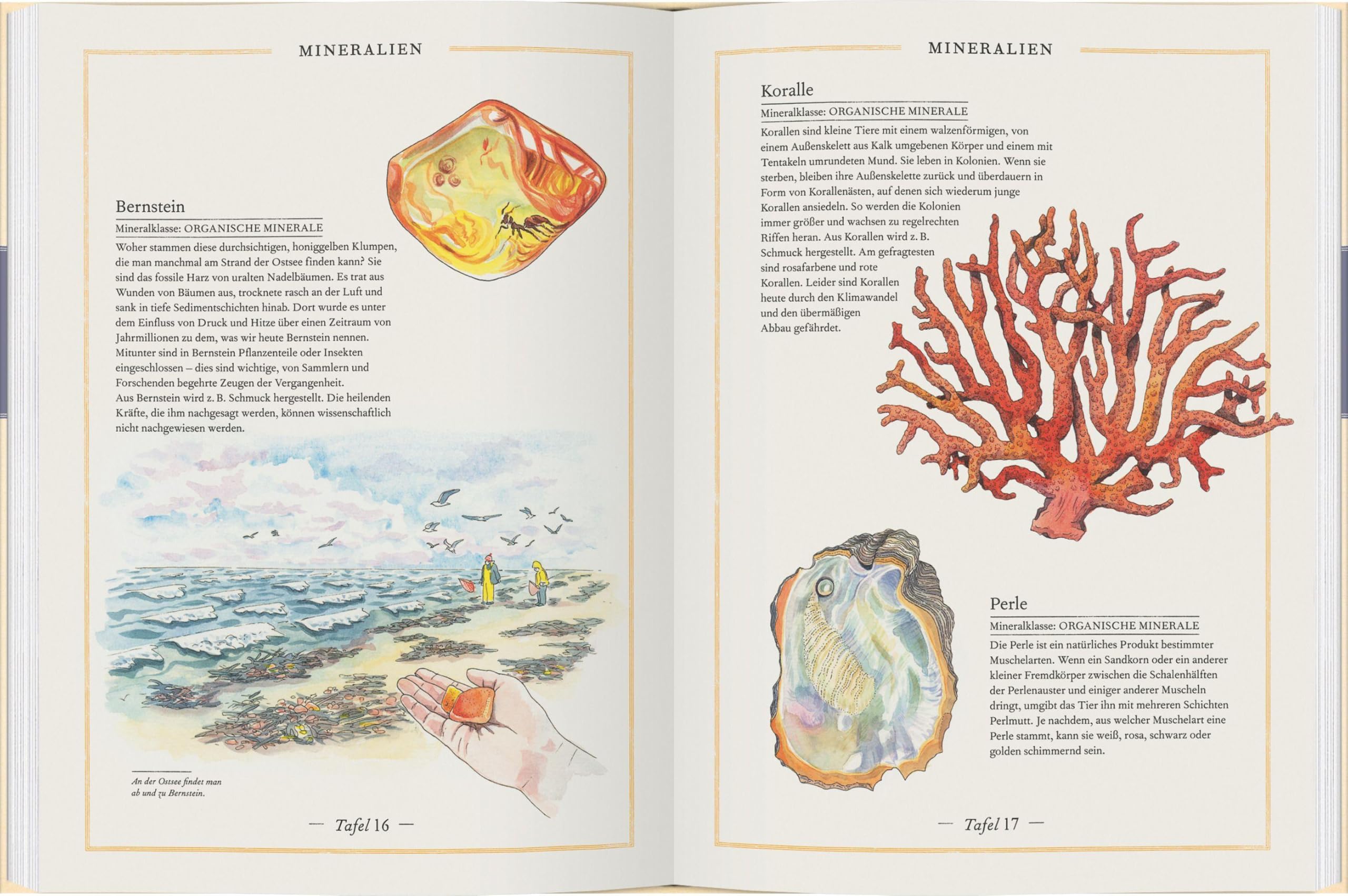 Gold, Granit & Diamant: Die Welt der Steine und Mineralien