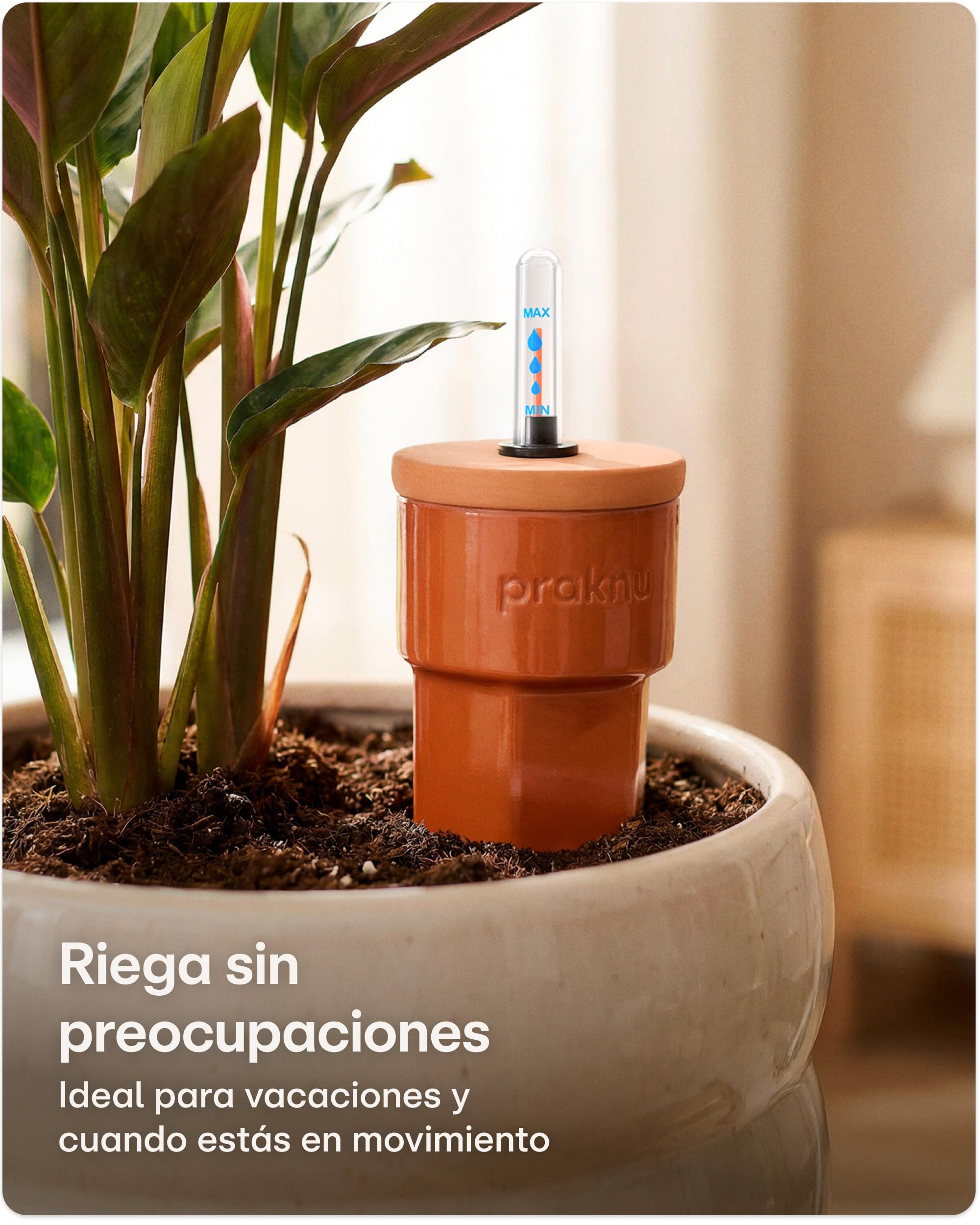 Praknu 3 x Conos de Riego de Terracota con Tapa e Indicador de Nivel de Agua – Hasta 10 Días de Riego Automático – Fácil Limpieza – Dispensador de Agua para Vacaciones