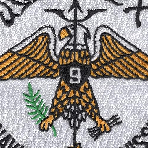 Miniatura 2 de Cv-9USS Essex parche