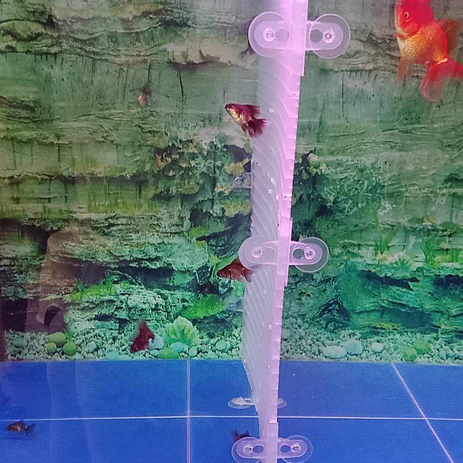 Snapklik.com : OIIKI 16PCS Aquarium Fish Tank Divider