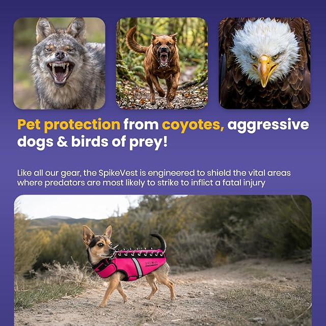 Foto 4 de 8 de CoyoteVest SpikeVest - Arnés para perros pequeños, chaleco reflectante con pinchos para protegerlos…