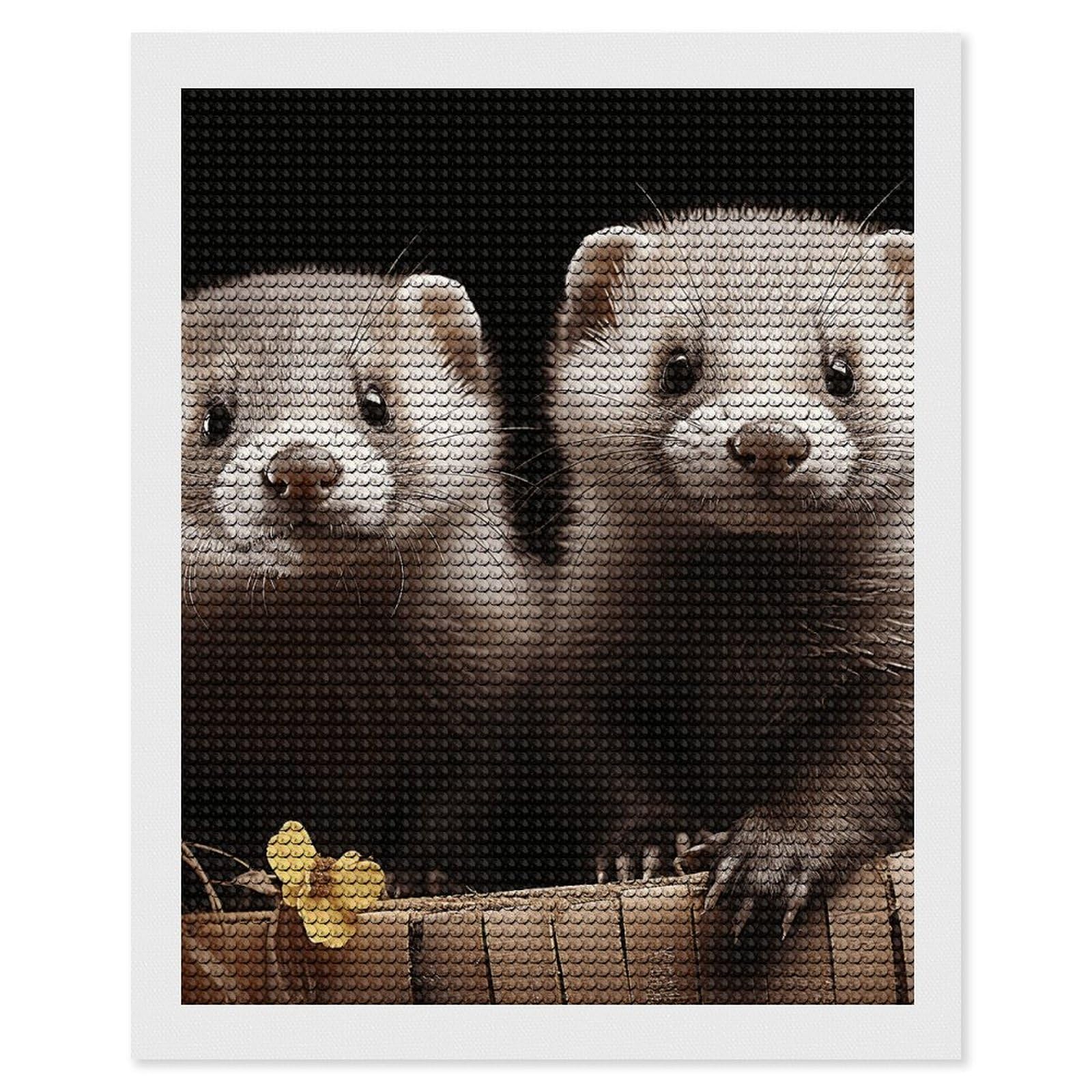 NONHAI Diamond Painting Kits for Adults - DIY Diamond Art Kits for Beginners - Full 5D Paint Drill Diamond Dots Paintings- Ferrets Diamonds Pictures Gem Art and Craft Wall Decor 16"x20"