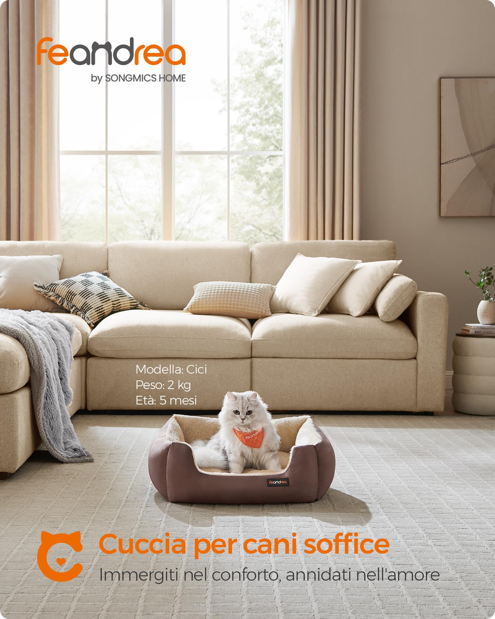 Feandrea Cuccia Cane Interno, Cuccia per Cani e Animale Domestico, Tappeto Rimovibile e Reversibile, Bordi Rialzati, Fondo Antiscivolo, S, 60 x 50 x 20 cm, Marrone Caffè e Beige Sabbia PGW001Z