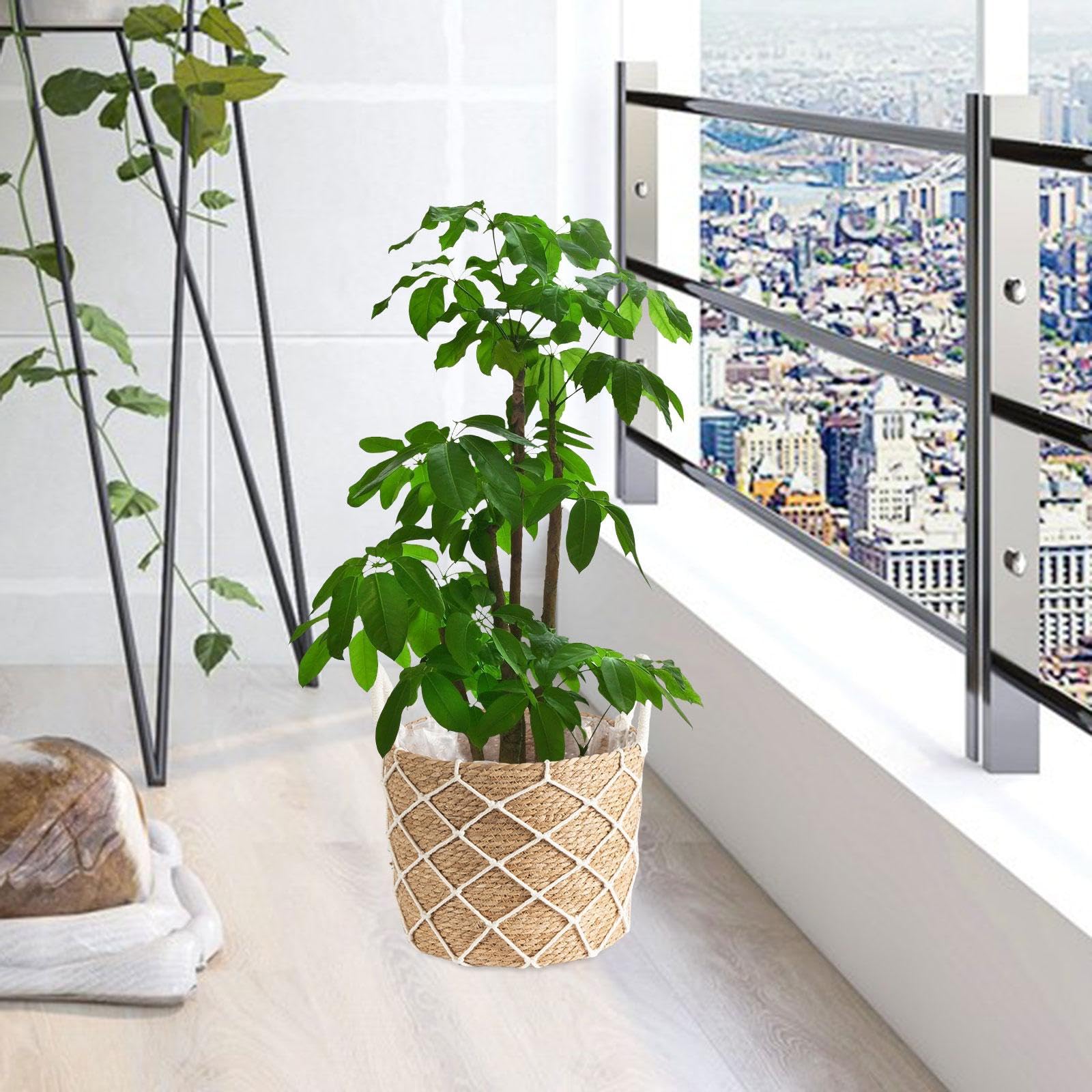 室内リビングバルコニー多層フロアタイプフラワーポットスタンド630 室内リビングバルコニー多層フロアタイプフラワーポットスタンド630