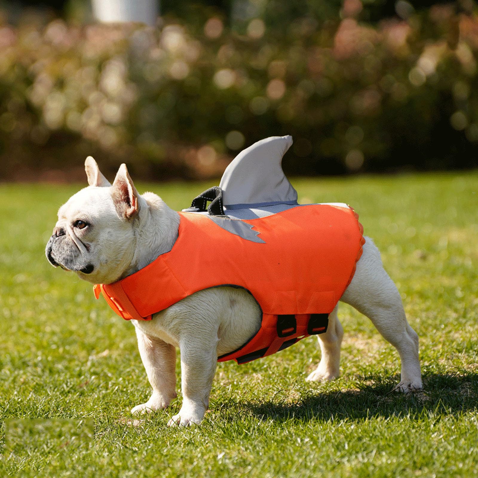 Traje de baño para perros con chalecos de piscina, color XXL, N XXL
