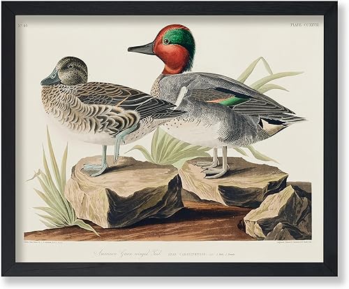 Miniatura 32 de Poster Master Póster vintage de colibríes, impresión de formas de arte retro en la naturaleza, arte de pájaros, regalo para él, ella y amante de los