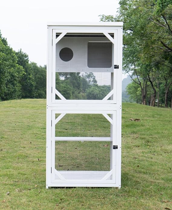 Modern Indoor/Outdoor Cat Habitat