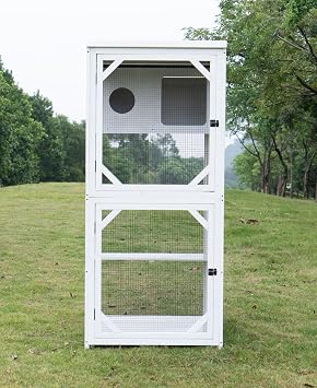 Modern Indoor/Outdoor Cat Habitat
