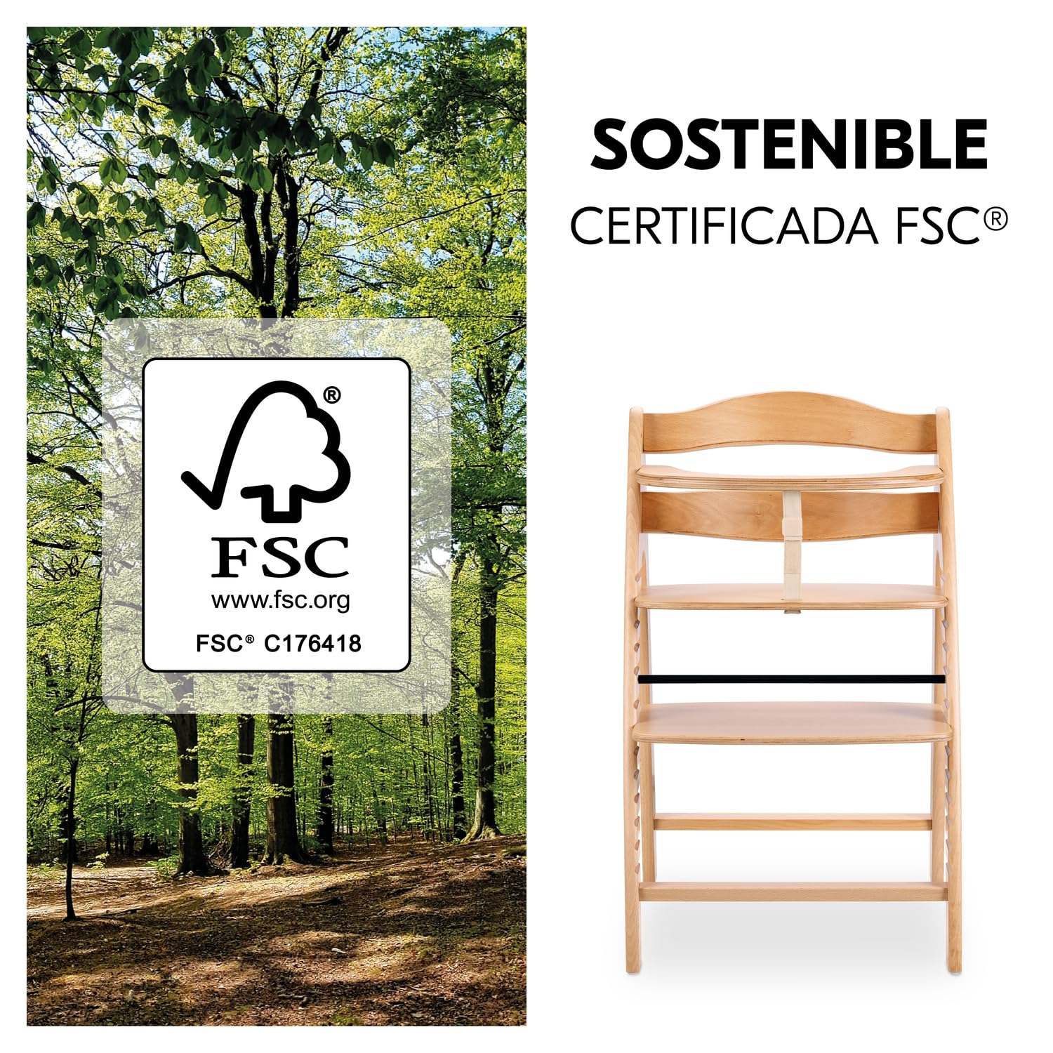 hauck Arketa Trona Evolutiva Bebé de Haya | Tronas de Madera Certificada FSC® | Silla Evolutiva desde 6 Meses - Ajustable con Barra de seguridad - Cinturón y Arnés de 5 Puntos