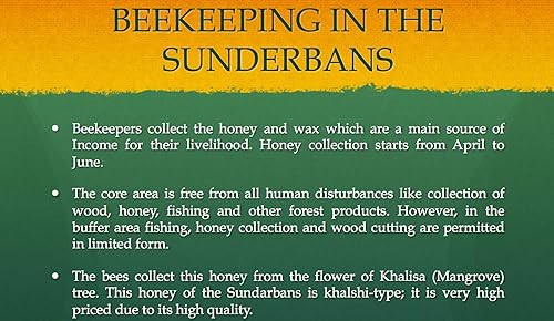 Miniatura 9 de Super Honey - Miel orgánica - Miel de cúrcuma con canela de Ceilán, clavo y pimienta negra más canela molida, miel para té, miel cruda de eucalipto,