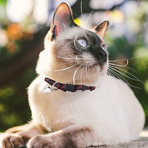 Miniatura 60 de MLB CAT Collar de satén de Los Angeles Angels, collar de equipo de béisbol para perros y gatos. Un collar de gato brillante y colorido con colgante