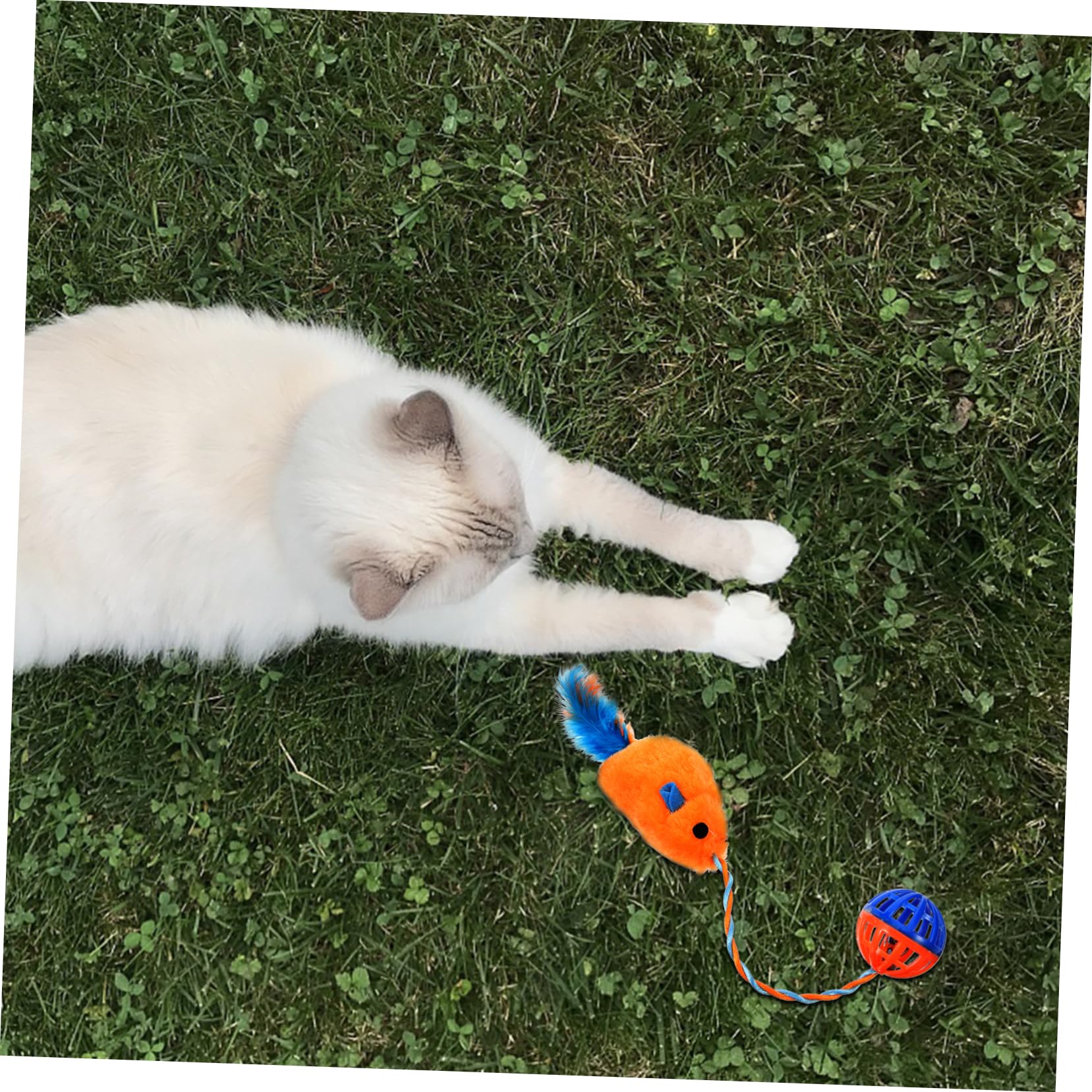 ibasenice Jouet pour Chats en Peluche avec Clochette en Plastique, Jouet Interactif pour Chatons Intérieur, Stimulant et Relaxant, Divertissement et L'activité