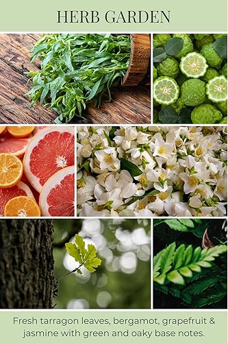 Vista 19 de Eco Candle Co. Vela reciclada, eucalipto y menta, 26 onzas. Aromas de eucalipto, menta verde y menta - 100% cera de soja, sin plomo, etiqueta y tapa