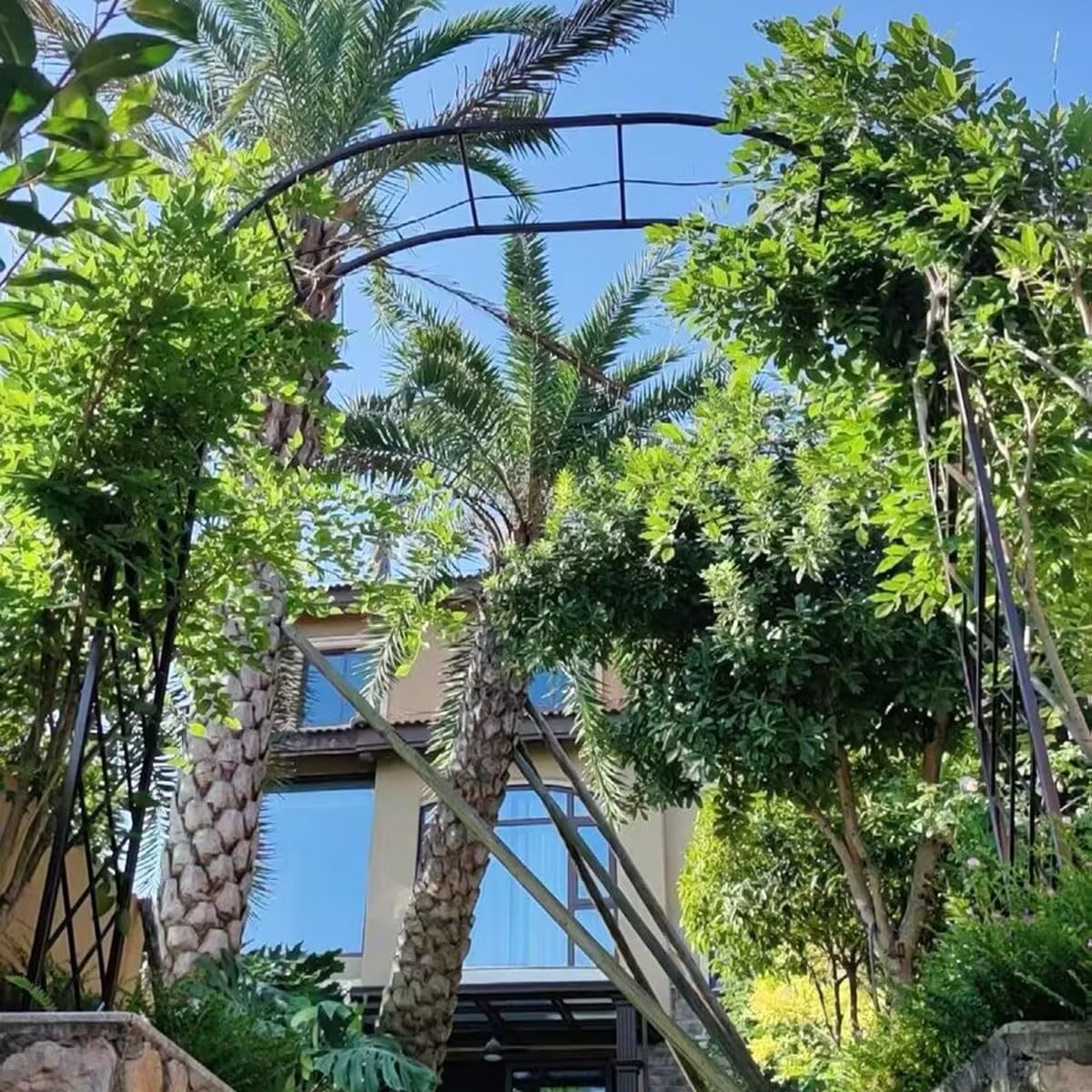 Supporto per arco da giardino in metallo, traliccio in acciaio resistente, per piante rampicanti, resistente alle intemperie, decorazione per arco di nozze, per patio, cortile