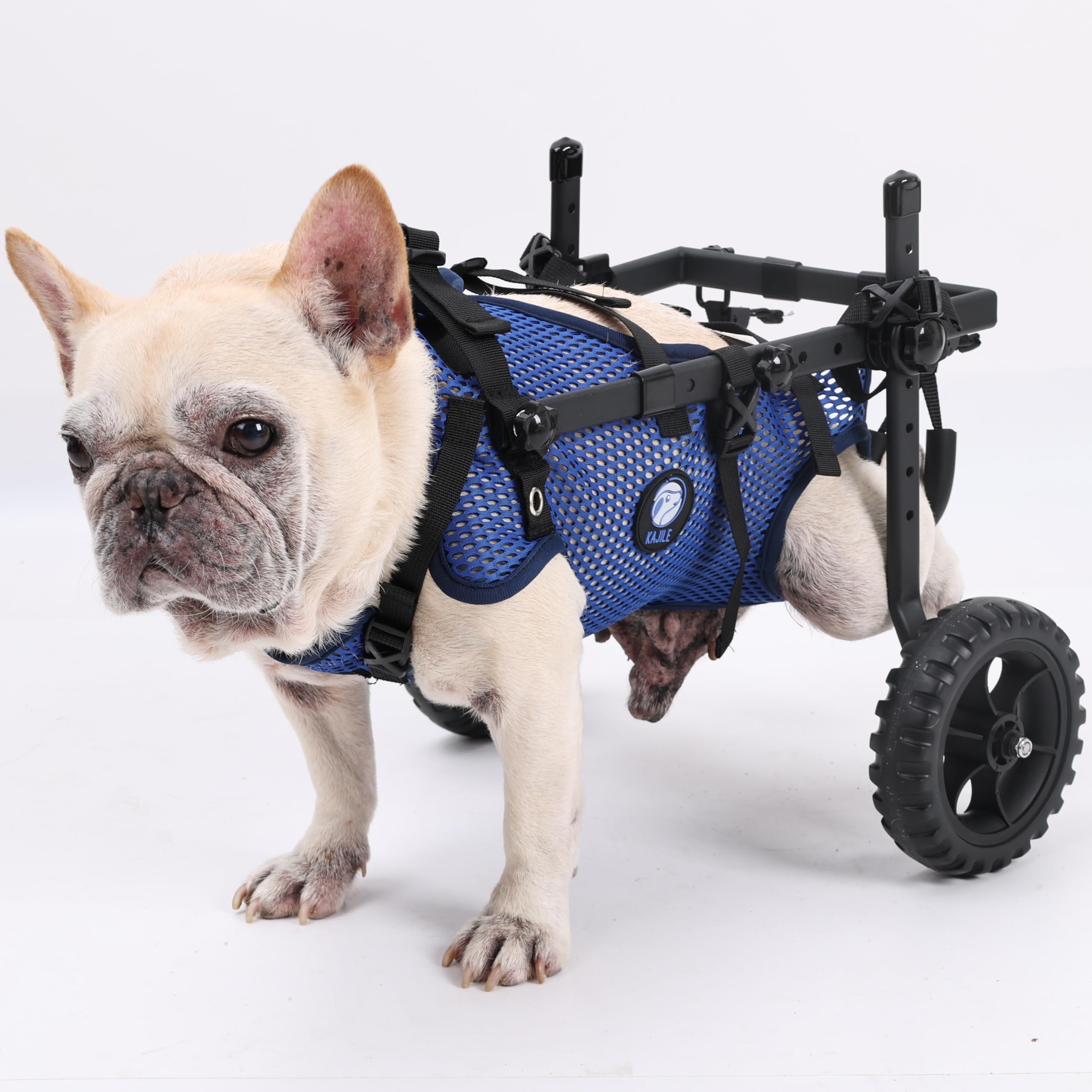 Sillas de Plegables de 2 Ruedas para Perros,Silla de Ruedas de Patas Traseras para Mascotas Pequeñas,Ajustable de Tela de Malla,Azul,S