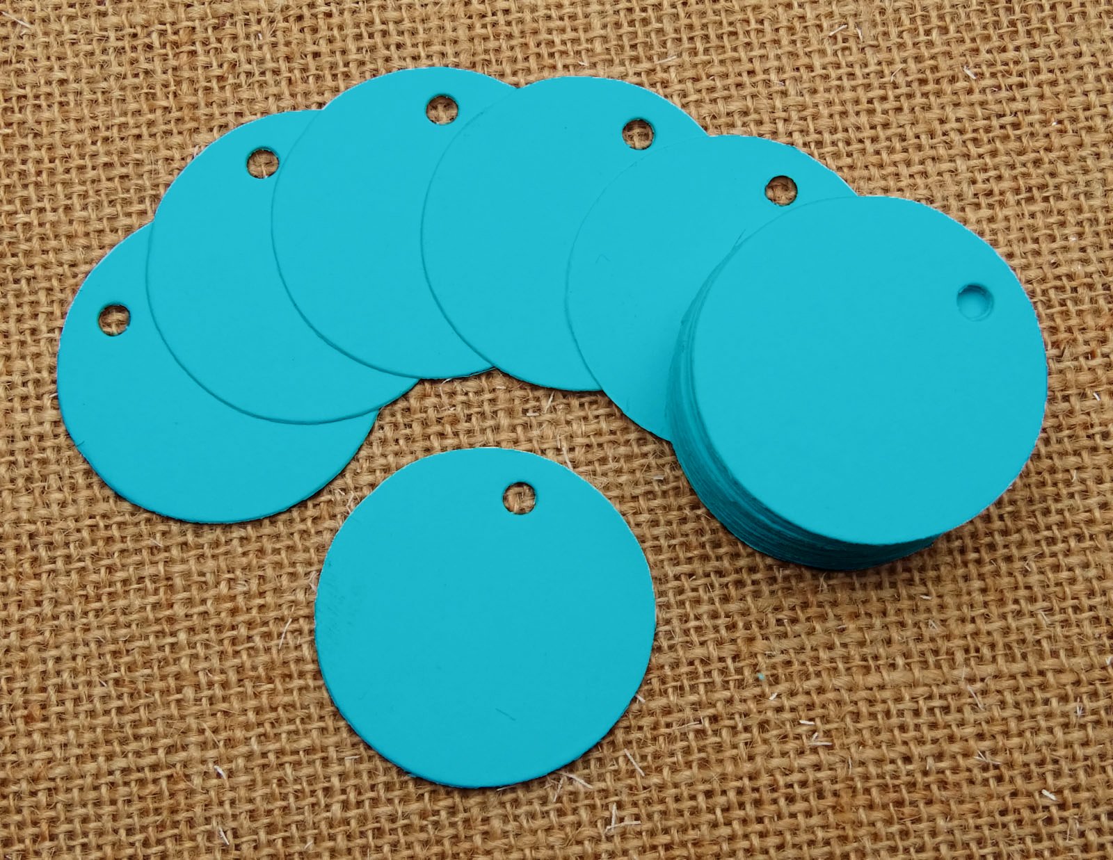 100 Pcs Round Blank Cardstock Hang Tag Wedding Party Favor Gift Tags with Free Natural Jute Twine - Colors Available