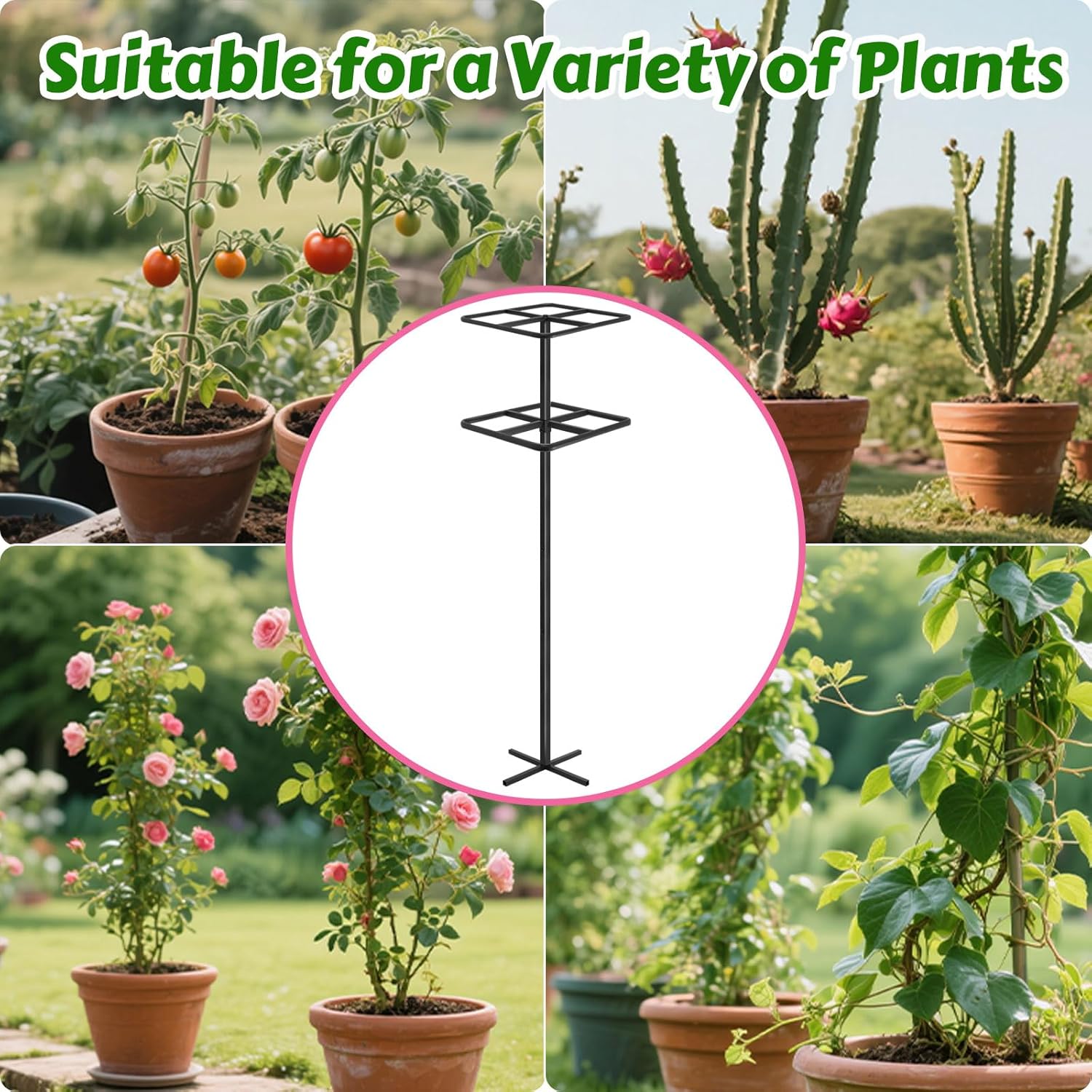 Adjustable Double-Layer Dragon Fruit Trellis Black,Durable Metal Plant Trellis Outdoor Climbing Plants Support Frame for Vertical Gardening Trees Cactus