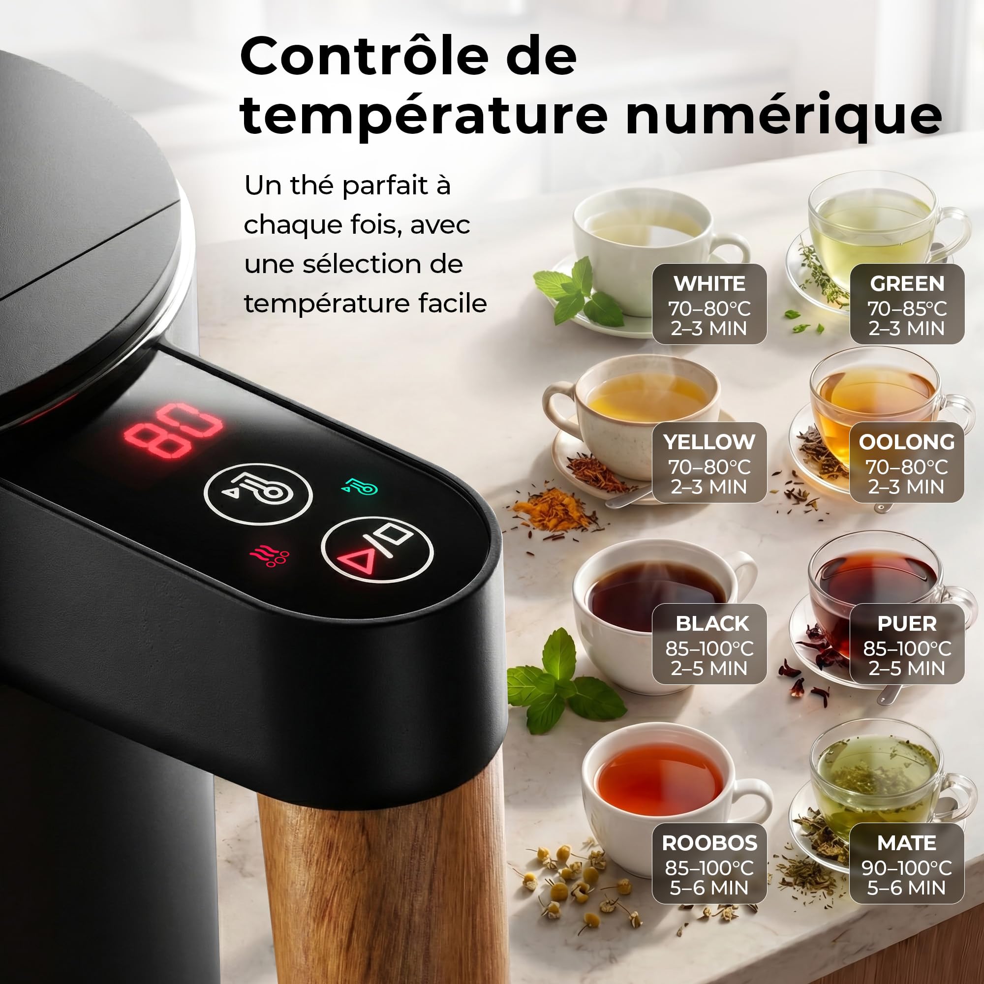 BALTER Bouilloire électrique inox 1,5 L température réglable 45-100°C double paroi sans BPA