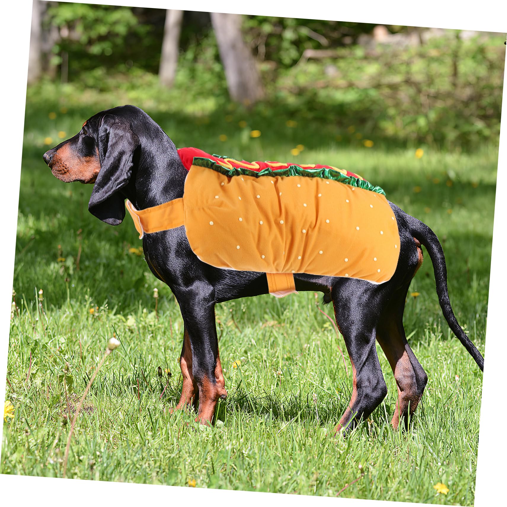 Costume Invernale per Gatto e Cane in Poliestere Design Comodo per Feste Natalizie