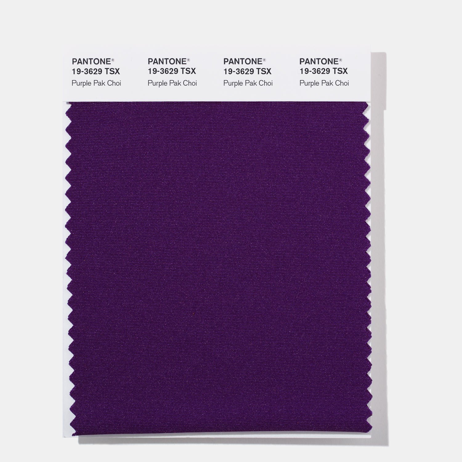 PANTONE 19-3629 TSX 19-3629 Tsx, Purple Pak Choi - Amazon.com