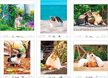 購入者限定特典付き】のんびり島にゃんCALENDAR 2026（月めくり/壁掛け