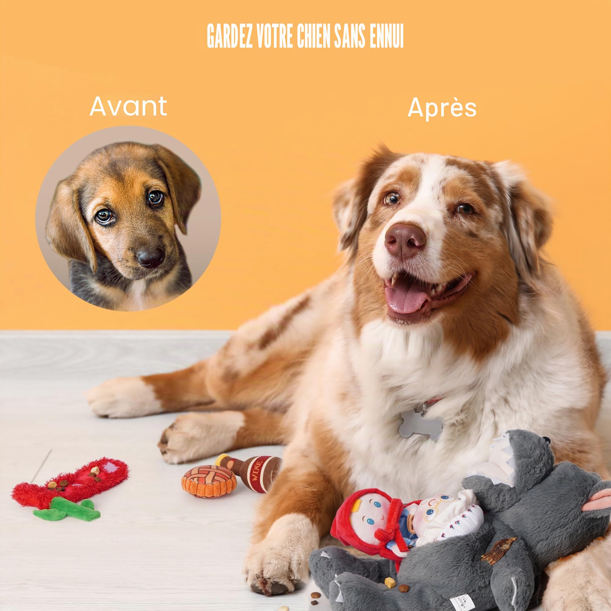 Nocciola 6 en 1 Jouet Chien Indestructible avec Couineur pour Chien | Jouet Chien Occupation pour jeu de cache-cache, Enrichissement, Anti Stress de Chiens, Parfait pour Multi-chiens