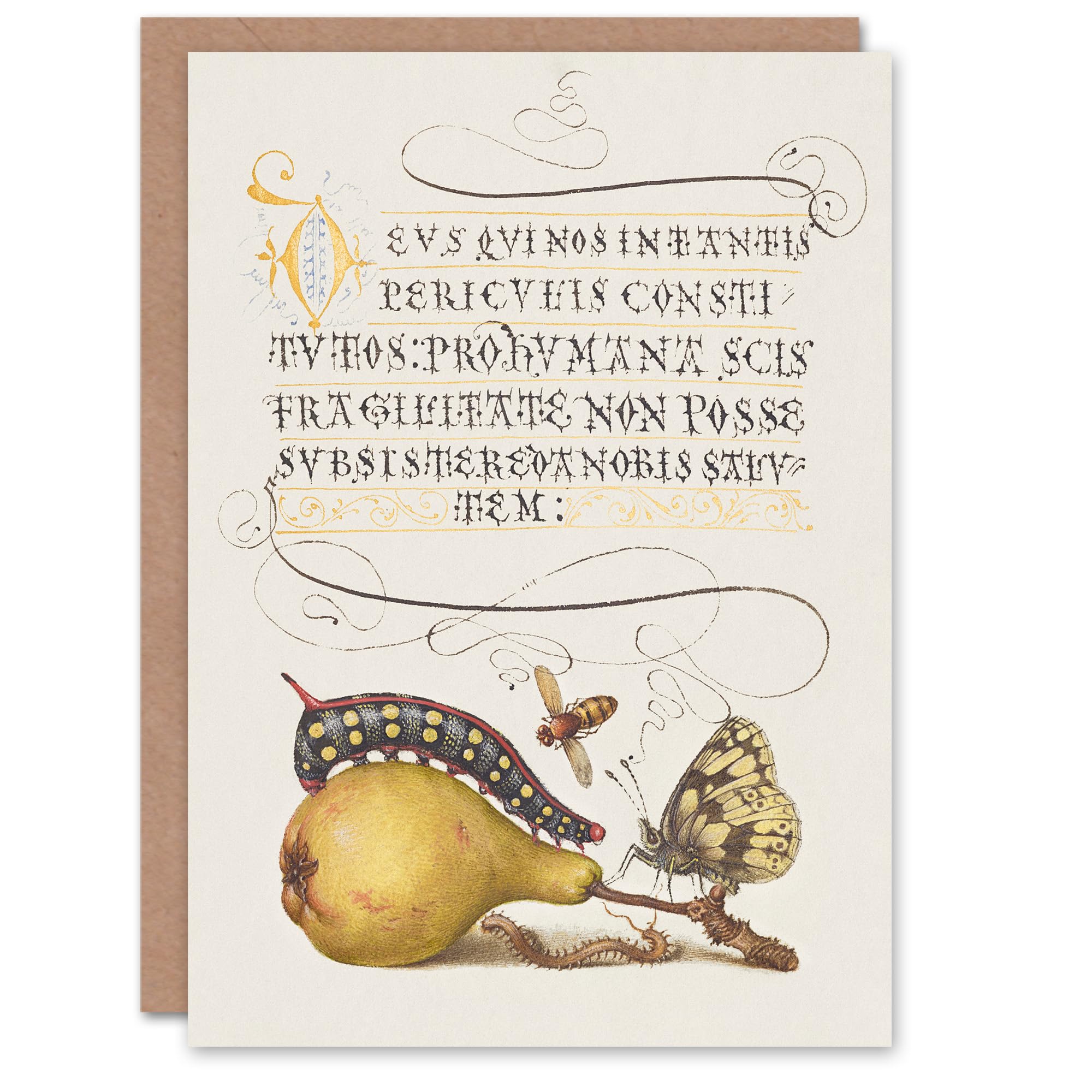 Artery8 Model Book of Calligraphy Art Card Caterpillar Pear and Butterfly