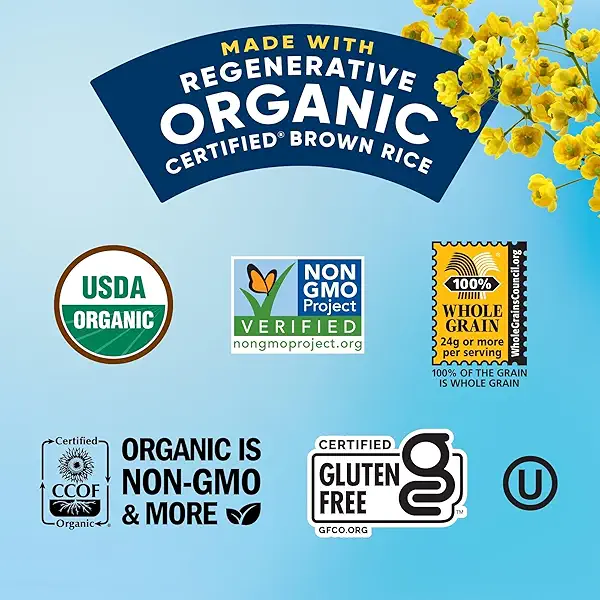 Lundberg Organic Rice Cake Minis, Original Sea Salt – Mini Rice Cakes, Healthy Snacks for Adults and Kids, Vegan Snacks, Gluten-Free, Healthy Food for Snacking & Dipping, 5 Oz 6