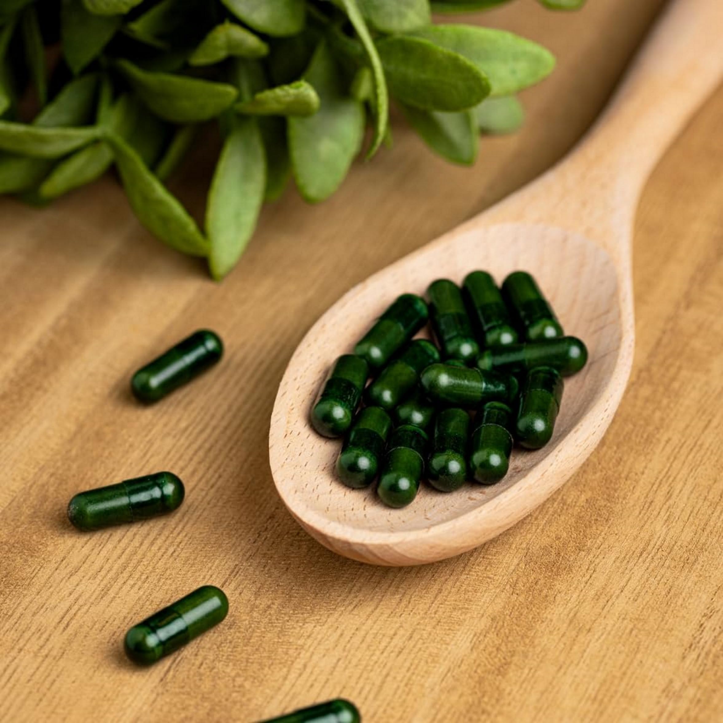 Grüntee Extrakt Tigovit | 510 mg EGCG & 910 Polyphenolen pro Tagesdosis | Grüner Helfer | Grüner Tee Kapseln - 90 Stück | Mit Vitamin C, BioPerine | Labor Geprüfte Qualität | Vegan