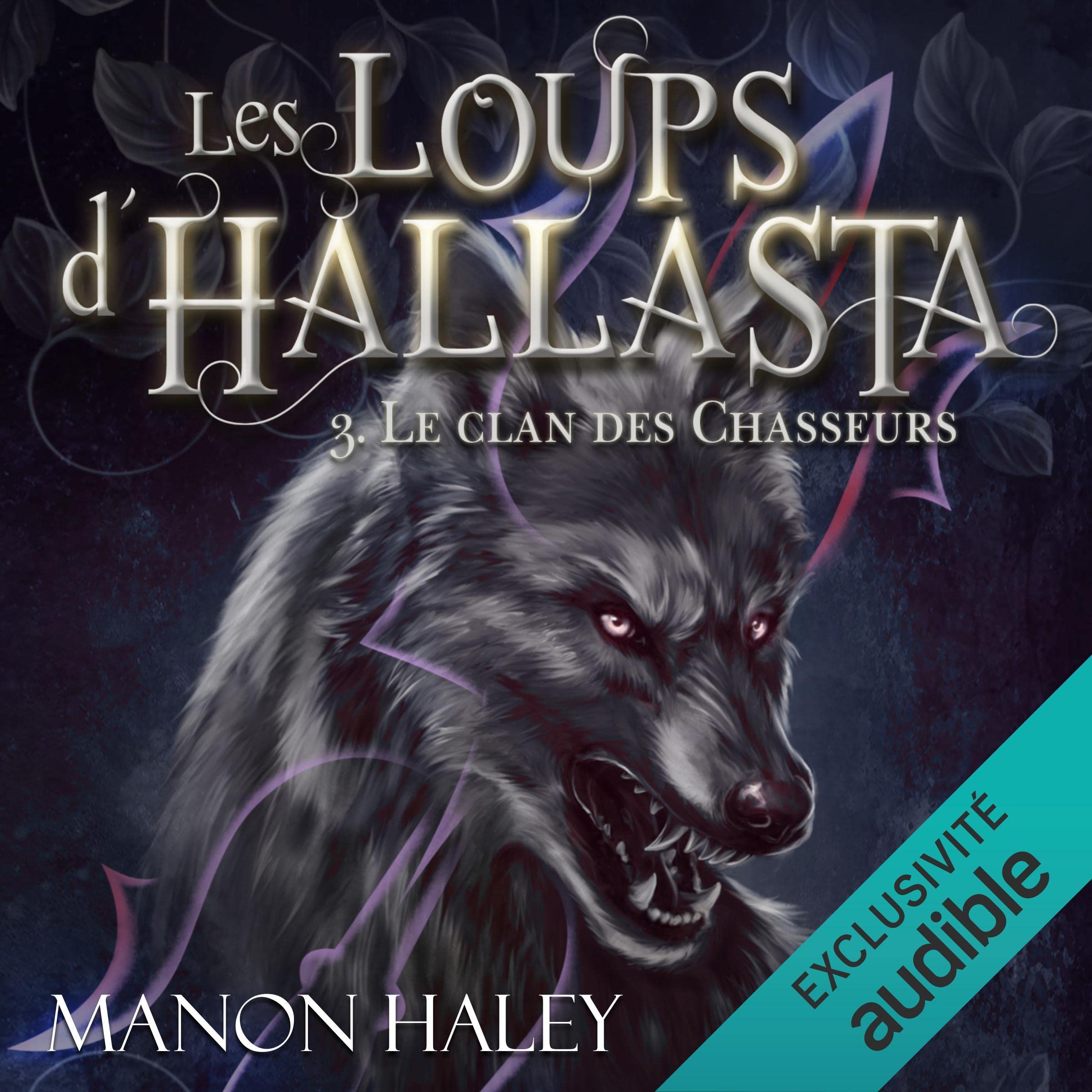 Cover art for Le clan des chasseurs