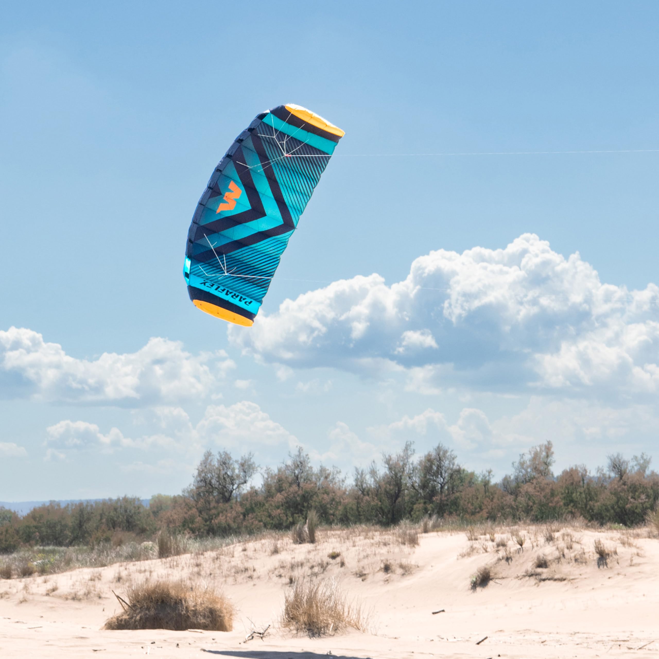 Wolkenstürmer Paraflex Sport 2.3 Lenkmatte (schwarz-türkis) - Modell 2026, flugfertiger Kite mit Lenkstange & Dyneema-Leinen, Lenkdrachen, Ready to Fly