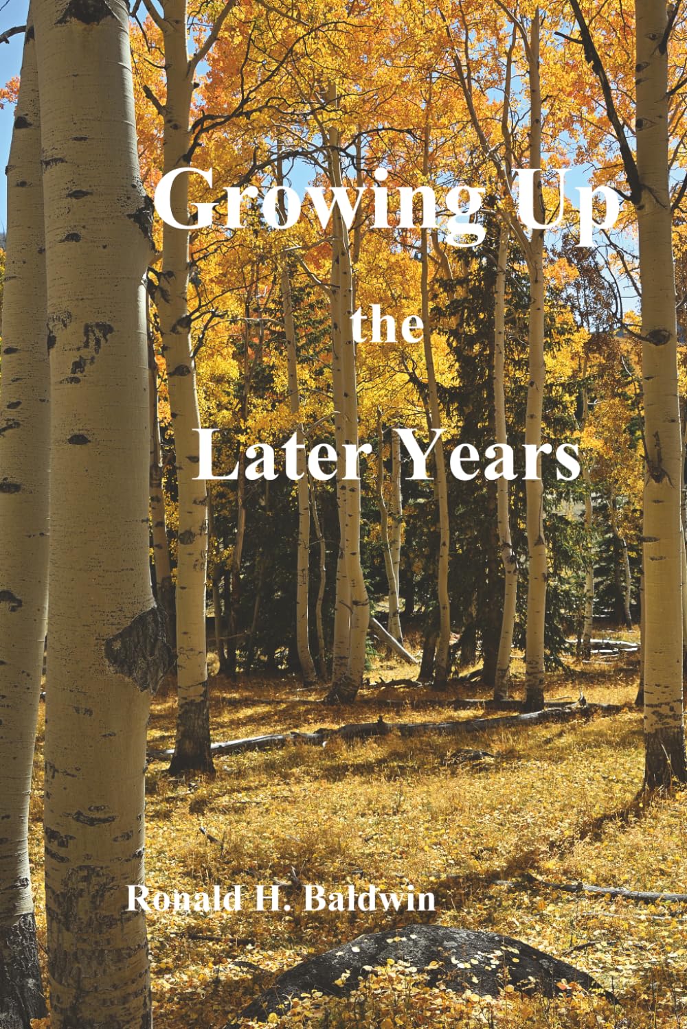Growing Up: the Later Years
