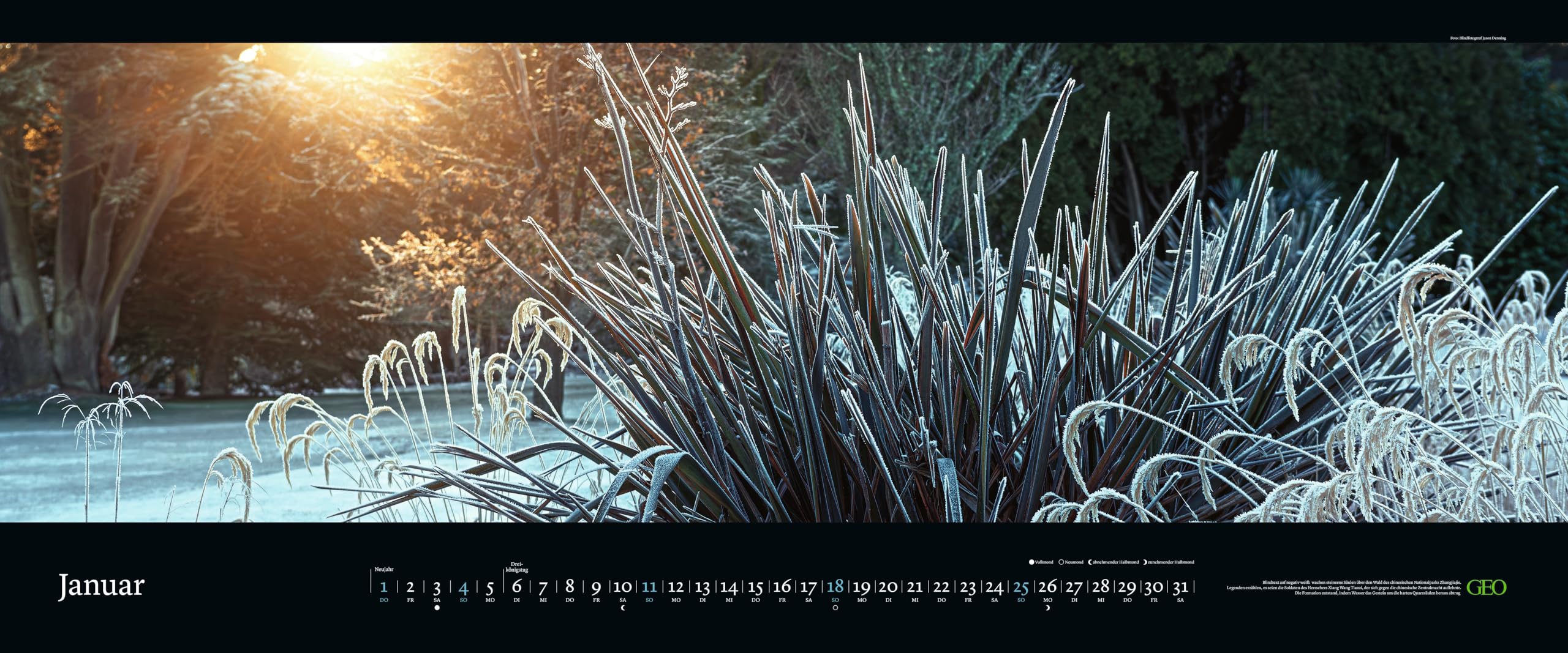 GEO - GEO Panorama: Die schönsten Gärten 2026 – XXL Wandkalender 120x50 cm, Panorama-Kalender mit Gartenfotografie, 12 Monatsblätter & Spiralbindung für Natur- und Gartenliebhaber
