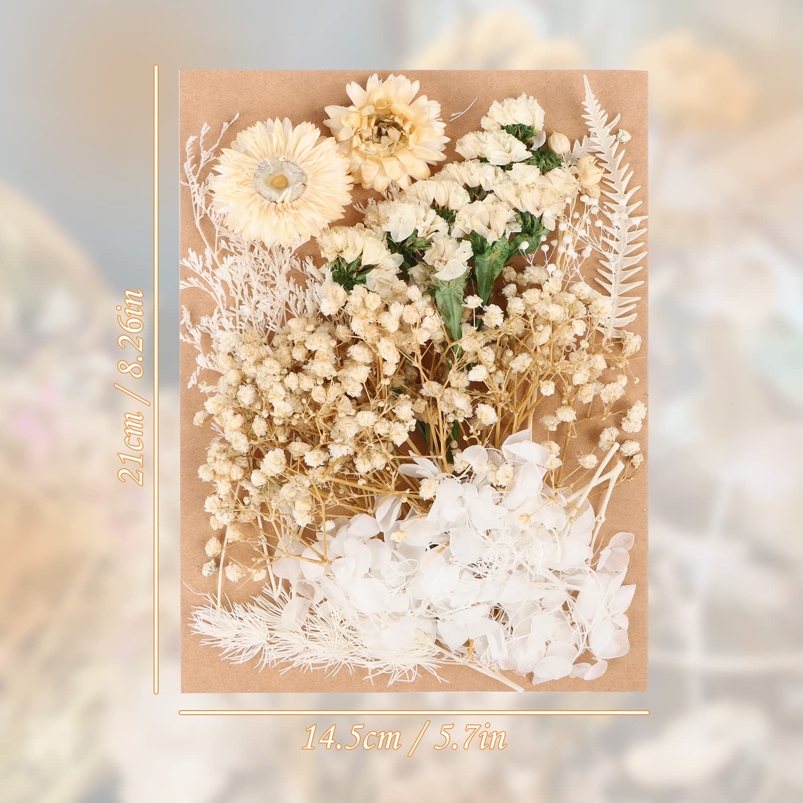 WANTOUTH 8 PCS Bouquets De Fleurs Séchées, Mini Bouquet Fleurs Séchées, Bouquet De Fleurs