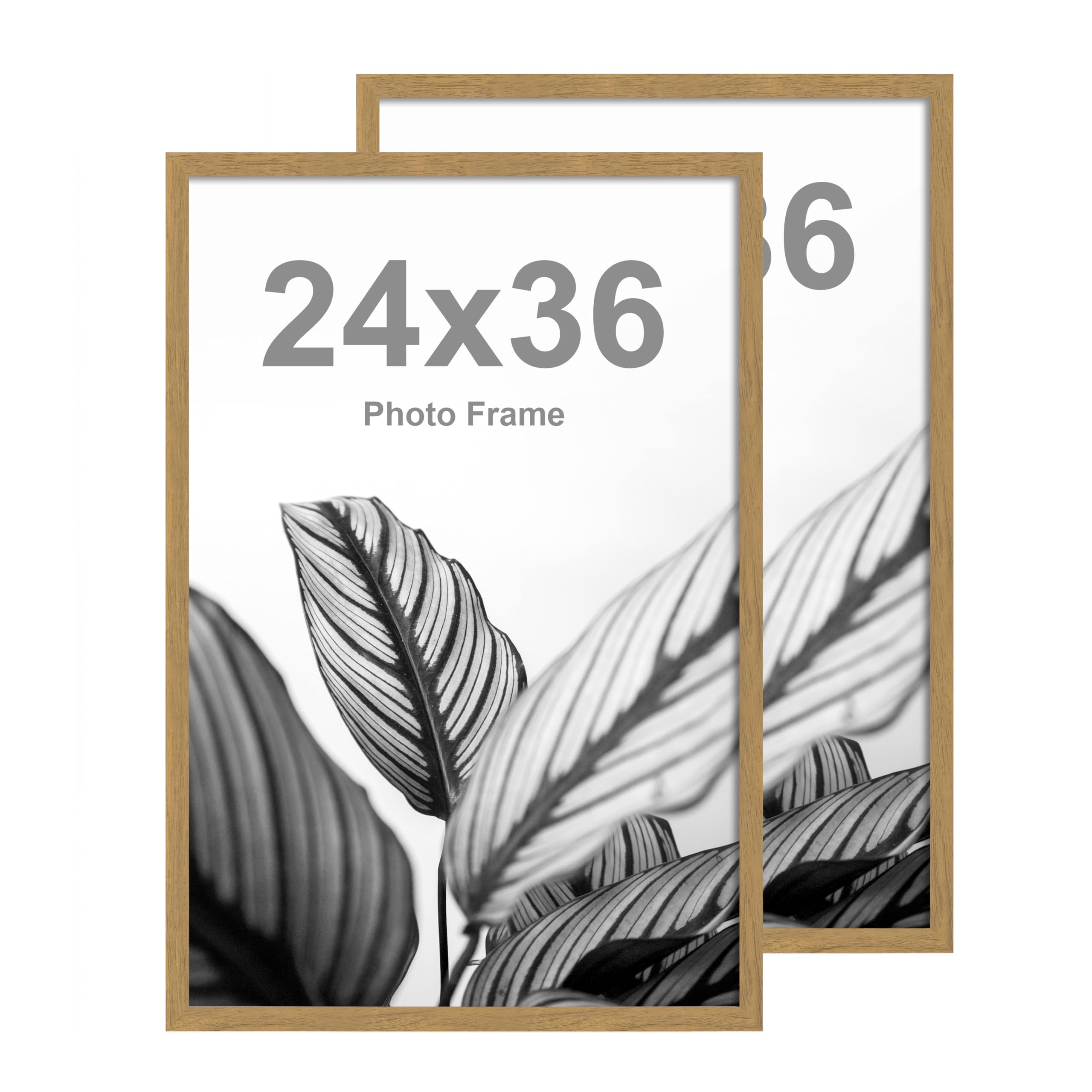 FrameWorks 24x36 Wooden Poster Frame Golden Oak Matte
