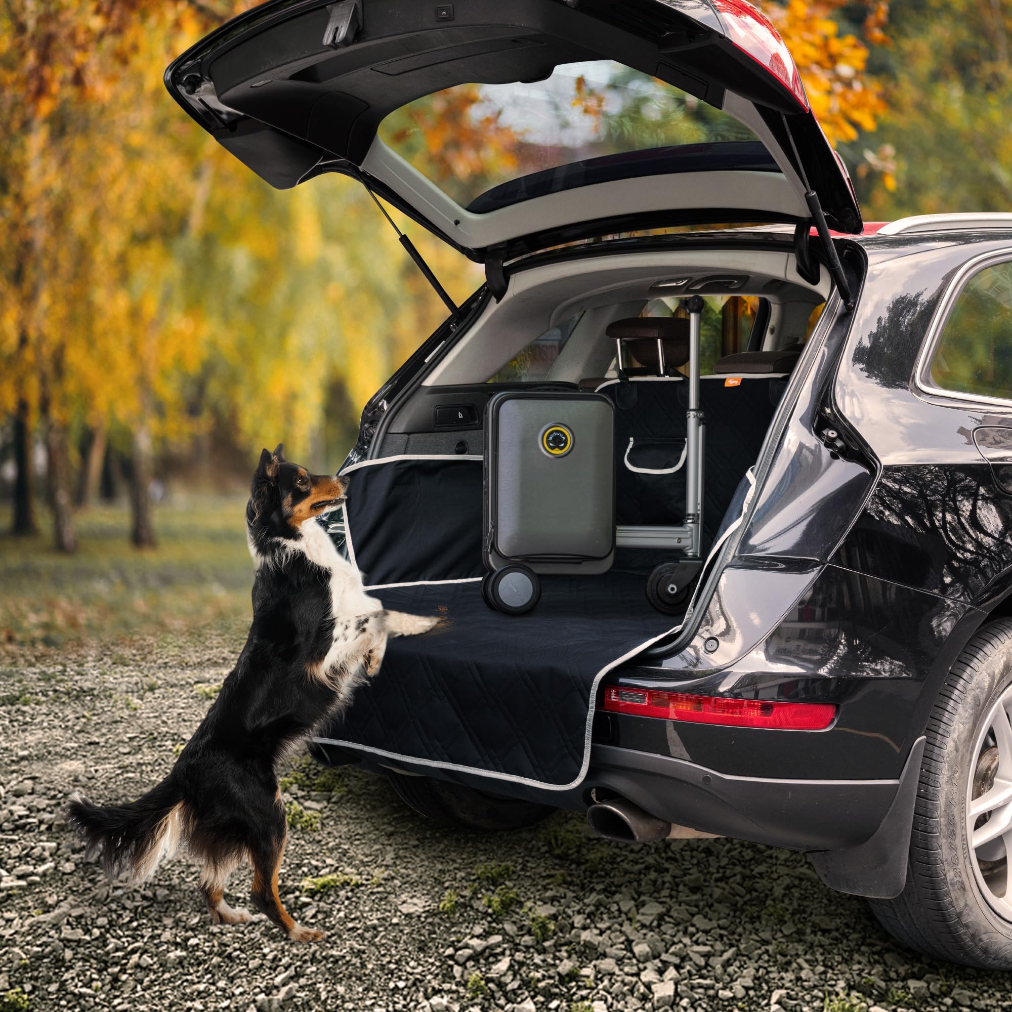 Custodia per Baule Auto Telo Auto per Cani per Cani per Peugeot Rifter Long 2019-, Protezione Fodera per Animali,Telo Bagagliaio Auto per Cani Telo Macchina,208 * 138cm