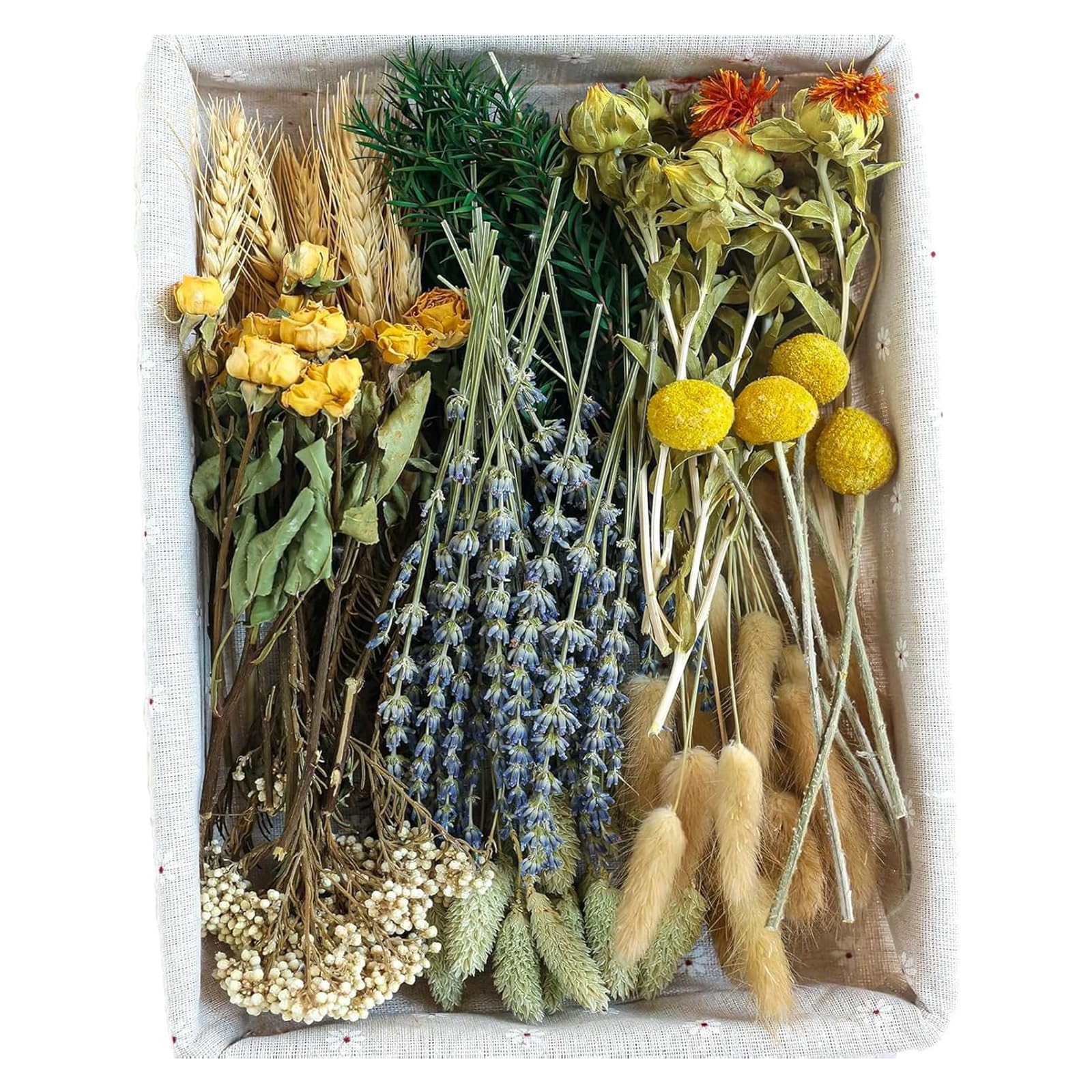Tsophreniq Natural Dried Grasses Home Decoration Bouquets Phragmites Dried Flower Bouquets for Wedding Flower Arrangements Scrapbooking Handicraft Making Materials
