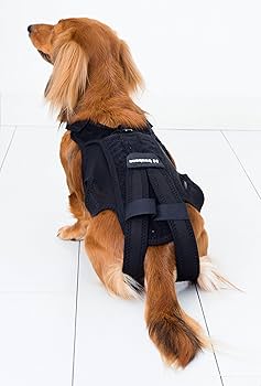 犬用コルセット　アニフル　わんコル 持ち手つき ソフトタイプ　Mサイズ　ブラック 楽天市場】【anifull 公式】 わんコル ソフトタイプ 持ち手つき