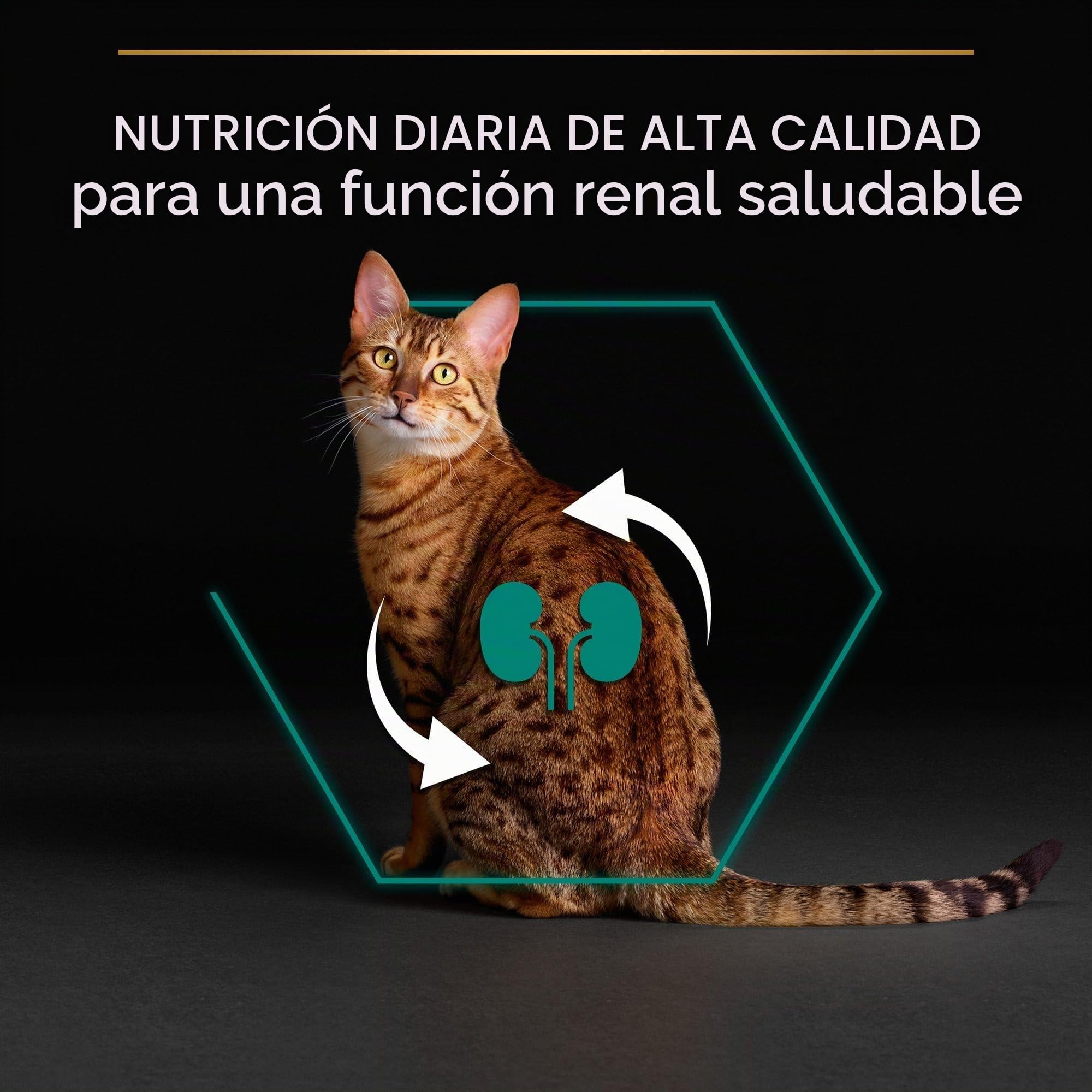 Pro Plan Pienso gato Adulto Pollo 10 kg