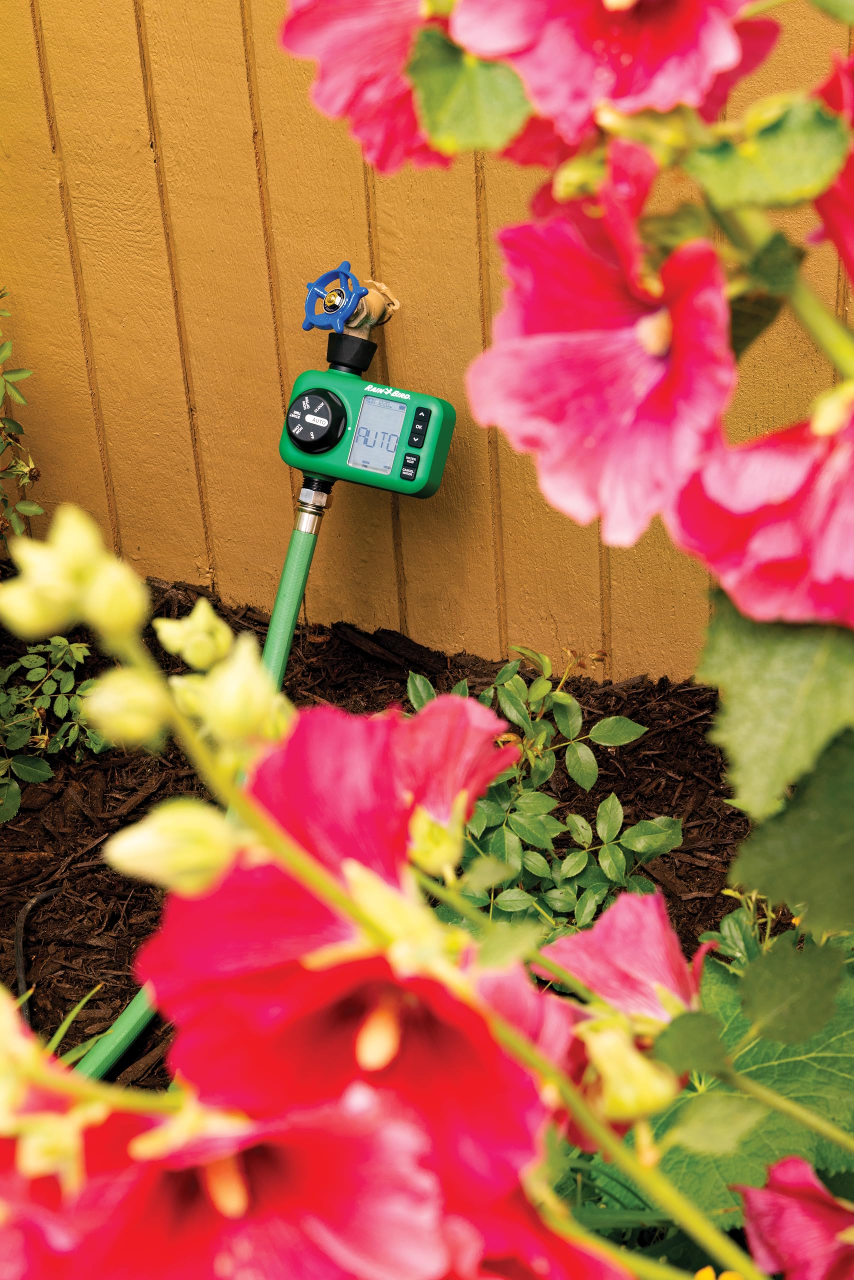Rain Bird HET100 - Timer elettronico digitale per irrigazione e irrigazione, funzionamento a batteria, filettatura per tubo da giardino da 3/4", ingresso in ottone resistente, 1 uscita/porta