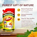 Dabur Honey - 750g Refill Pouch | 100% Pure | World's No.1 Honey Brand with No Sugar Adulteration | For Fitness & Health | Natural Immunity Booster | 100% Indigenous | Rich in Antioxidants & Minerals gallery image