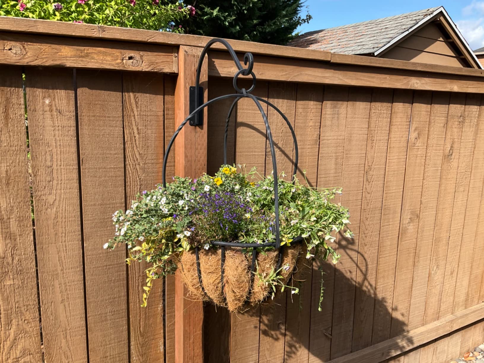 5/mo Finance Heavy Duty Plant Hanger Bracket (16"/Black) Outdoor